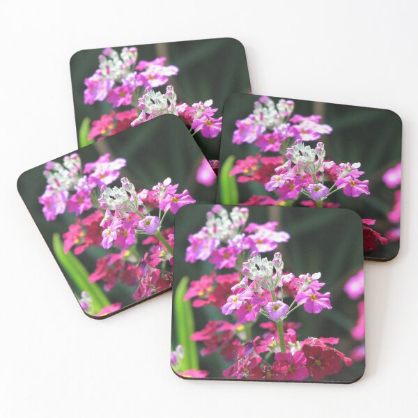 Item preview, Primula Malacoides Double designed and sold by justbmac.