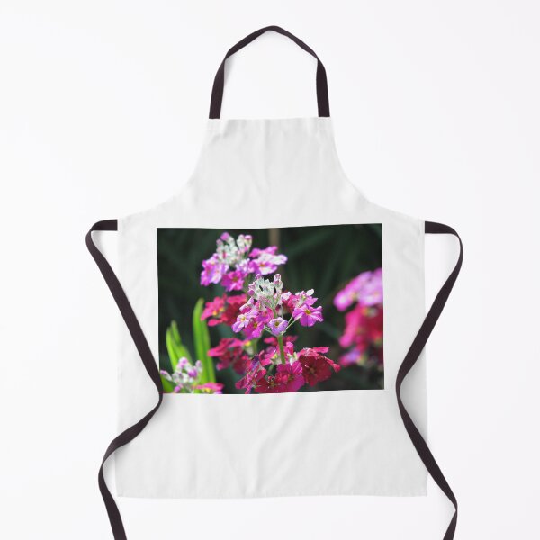 Item preview, Primula Malacoides Double designed and sold by justbmac.
