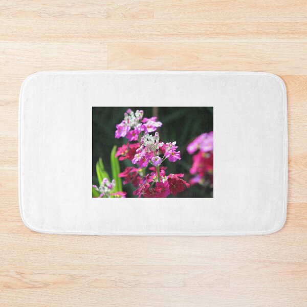 Item preview, Primula Malacoides Double designed and sold by justbmac.