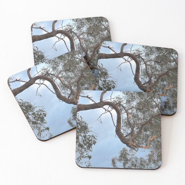 Item preview, Twisting Meandering Gum Tree Limb designed and sold by AraljanFusion.