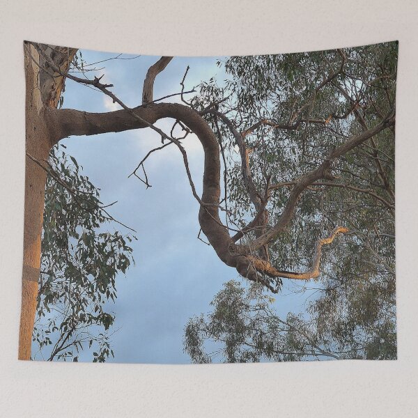 Item preview, Twisting Meandering Gum Tree Limb designed and sold by AraljanFusion.