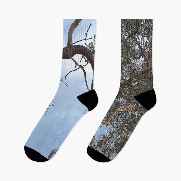 Item preview, Twisting Meandering Gum Tree Limb designed and sold by AraljanFusion.