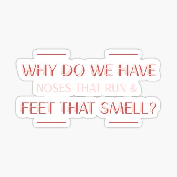 "Funny Pun Why Do We Have Noses That Run & Feet That Smell?" Sticker