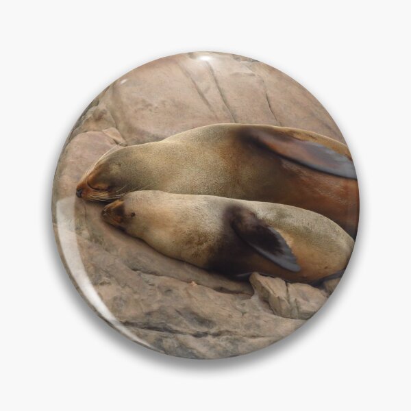 Item preview, Fur Seals know how to rest designed and sold by outbackjack.