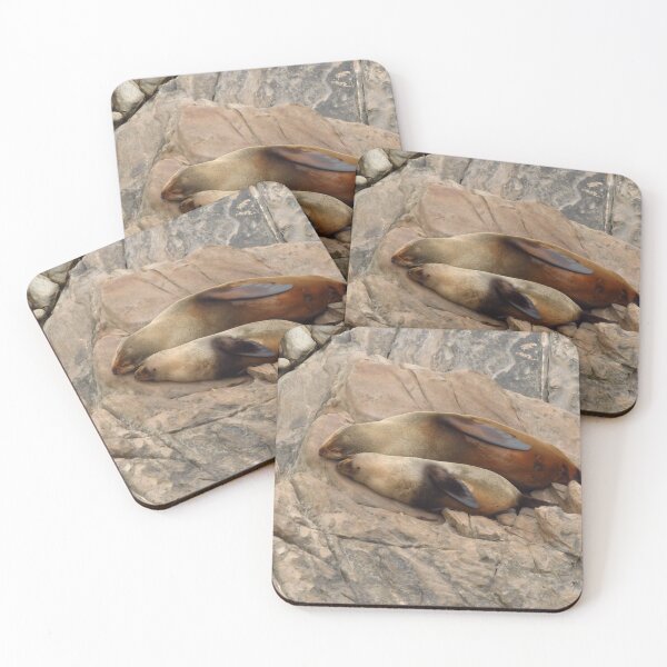Item preview, Fur Seals know how to rest designed and sold by outbackjack.