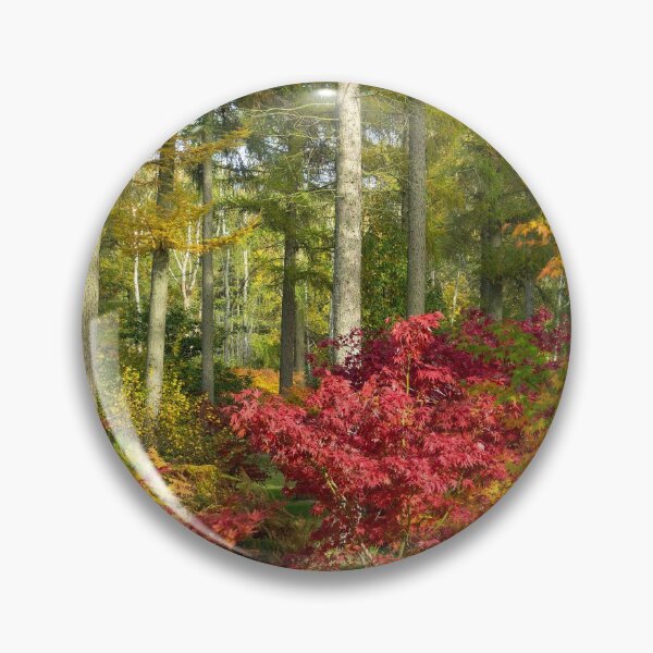 Artikelvorschau, Herbst-Arboretum entworfen und verkauft von hawkie.