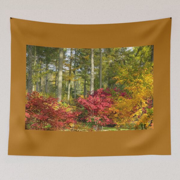 Item preview, Autumn Arboretum designed and sold by hawkie.