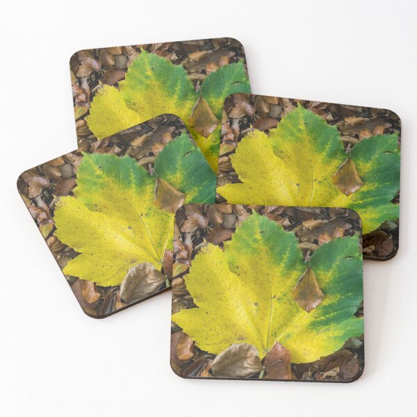 Item preview, Maple Contrast  designed and sold by hawkie.