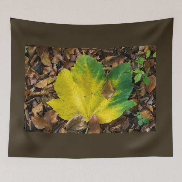 Item preview, Maple Contrast  designed and sold by hawkie.