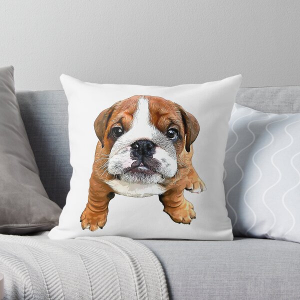 Bulldog pillow hotsell