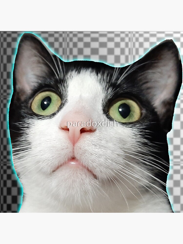 Checker Cat by paradoxdish
