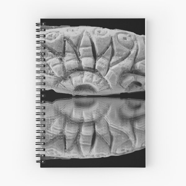 Item preview, “Cuttlefish” | In Black and White designed and sold by LiseHoltArt.