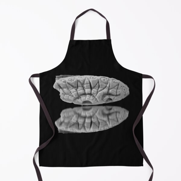 Item preview, “Cuttlefish” | In Black and White designed and sold by LiseHoltArt.