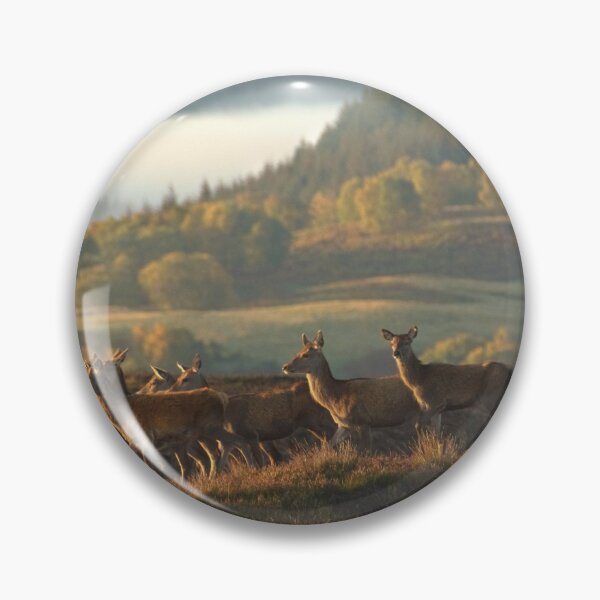 Item preview, Red Deer Scotland designed and sold by Macrae images.