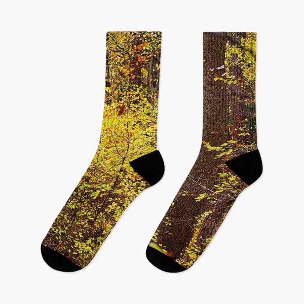 Item preview, Golden autumn forest designed and sold by frankuffmann.