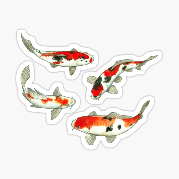 Koi Fish Gift For Women Japan Koi Carp Fishes Pond' Sticker