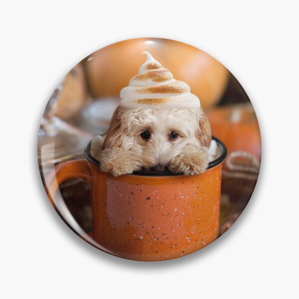 Artikelvorschau, Cockapoo Gewürzter Kürbis-Latte entworfen und verkauft von toppopin.