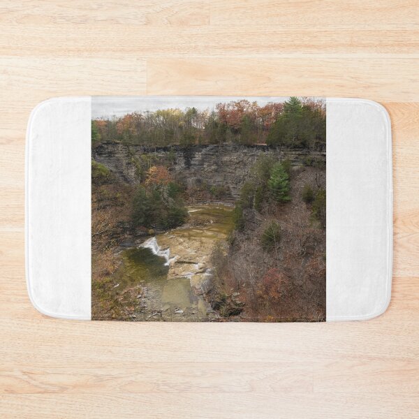 Artikelvorschau, Schlucht bei Taughannock Falls entworfen und verkauft von OutsideNY.