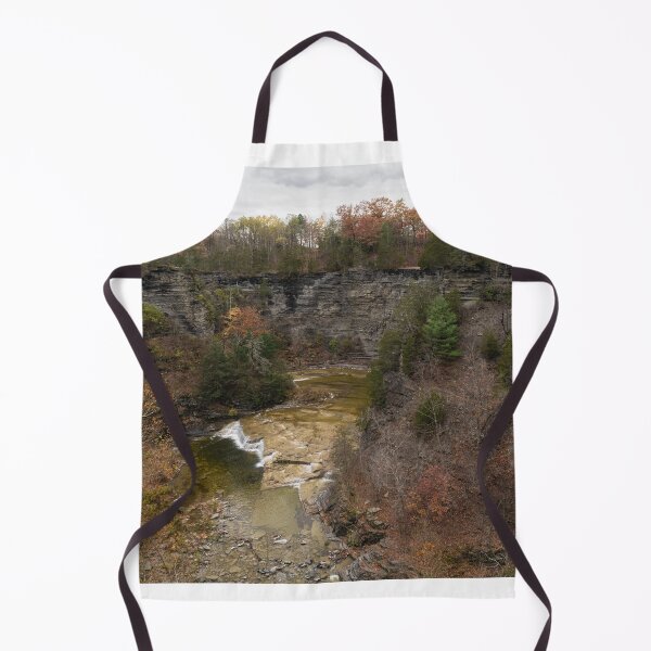 Artikelvorschau, Schlucht bei Taughannock Falls entworfen und verkauft von OutsideNY.