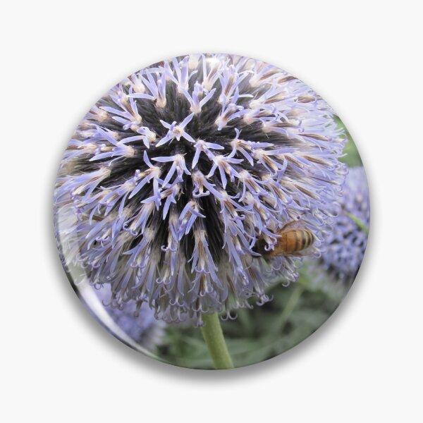 Item preview, Honey Bee on a Blue Echinops designed and sold by GoNatureDesigns.