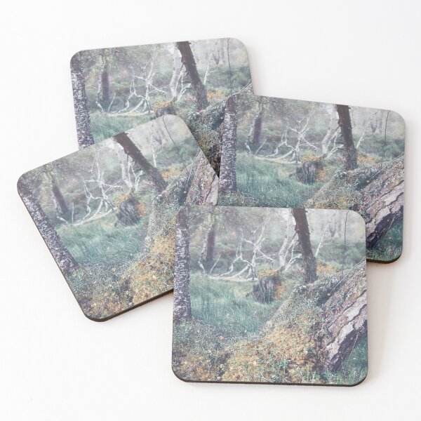 Item preview, Black Woods of Rannoch designed and sold by ShinyPhoto.