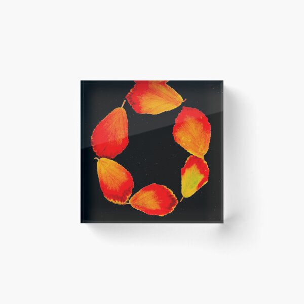 Item preview, Circle of Fire designed and sold by Marilyn Cornwell.