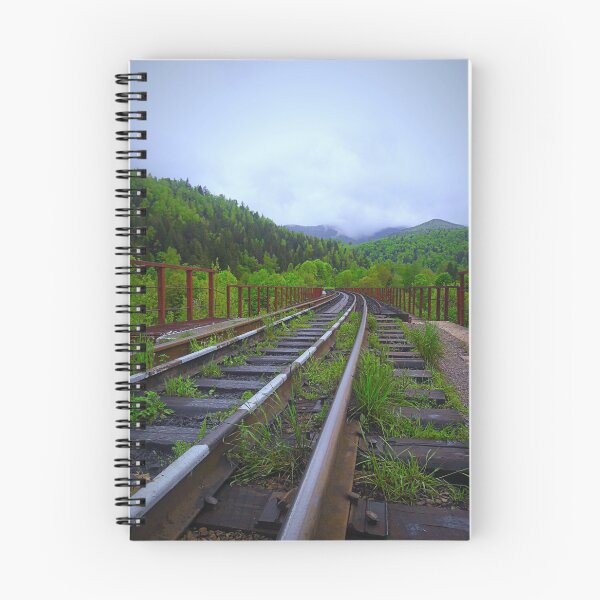 Item preview, Railway track in beautiful nature with green trees and grass. designed and sold by trinitronboy.