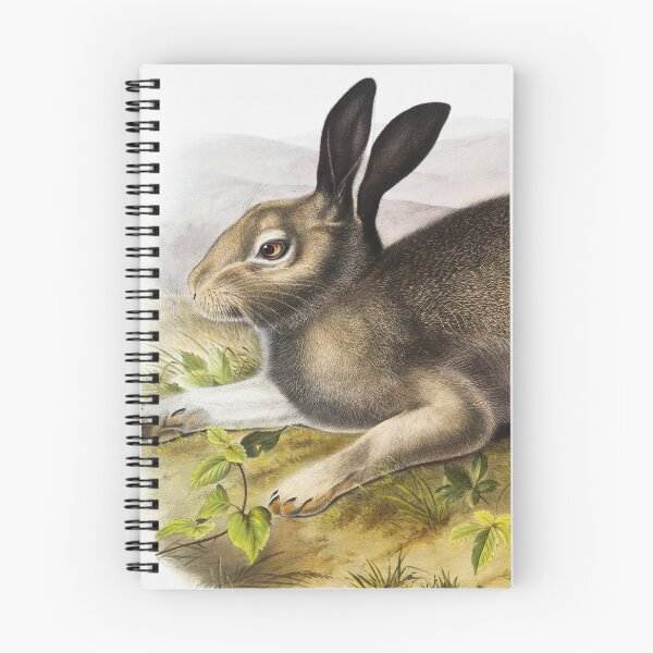 Item preview, Polar Hare  - John James Audubon designed and sold by Vintage Designs +.
