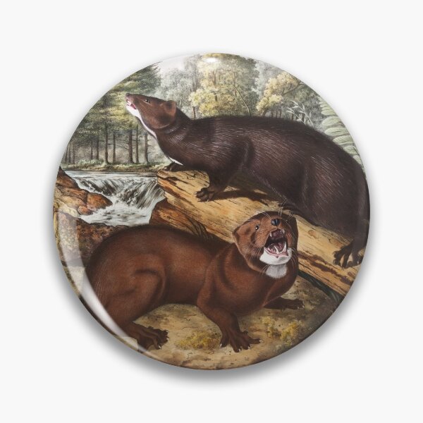 Item preview, Mink  - John James Audubon designed and sold by Vintage Designs +.