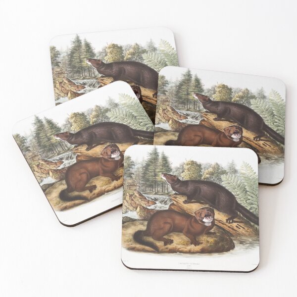 Item preview, Mink  - John James Audubon designed and sold by Vintage Designs +.