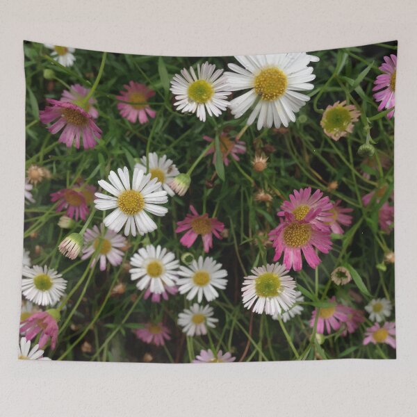 Item preview, Pink and White Daisies - Vectorized Photographic Image  designed and sold by RhubarbMyrtle.