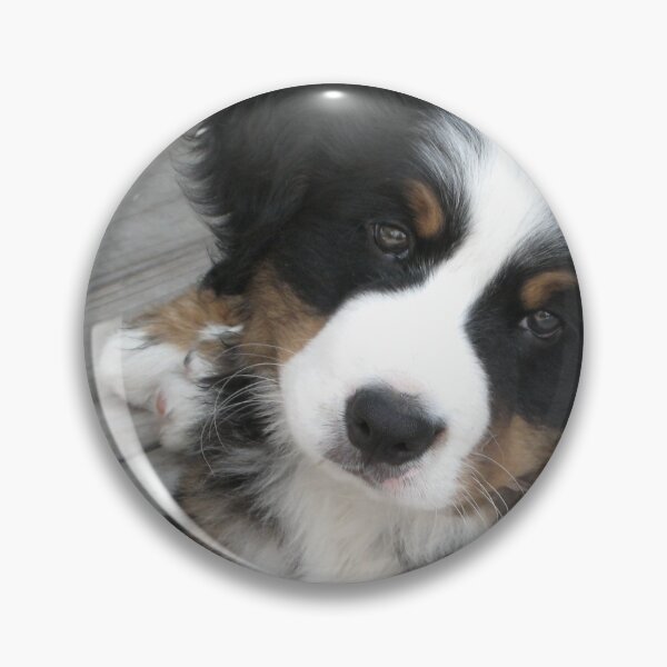 Item preview, Baby Einstein designed and sold by Christine  Wilson Photos.
