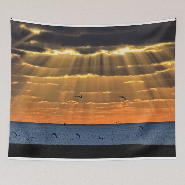 Item preview, Seagull Sunrays designed and sold by LenBrook.