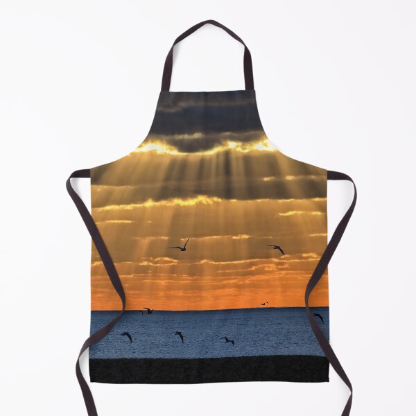 Item preview, Seagull Sunrays designed and sold by LenBrook.