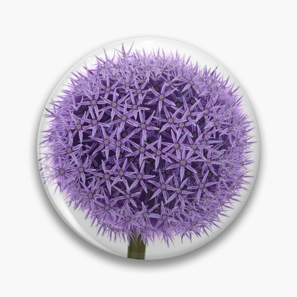 Item preview, Purple Allium Giganteum Genus Print designed and sold by DesignsBySaxton.