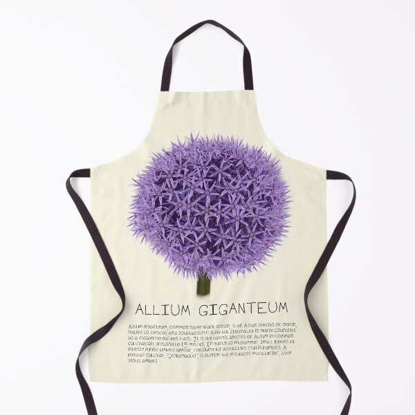 Item preview, Purple Allium Giganteum Genus Print designed and sold by DesignsBySaxton.