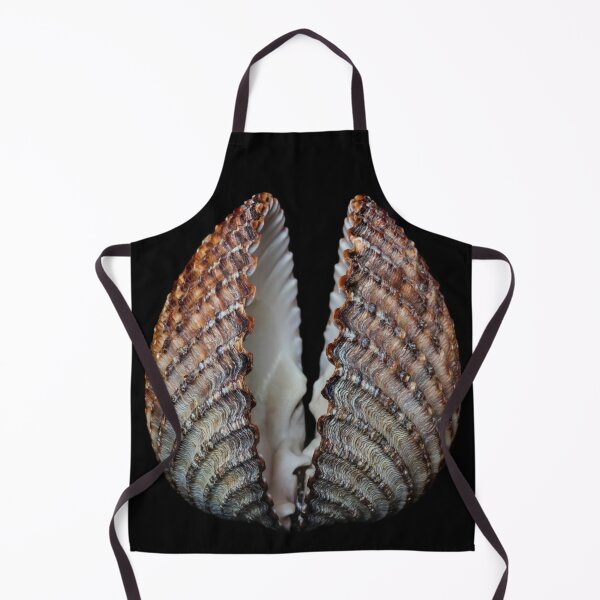Item preview, Cockle Shell. designed and sold by John Ray.