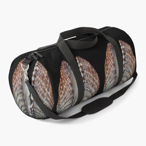 Item preview, Cockle Shell. designed and sold by John Ray.