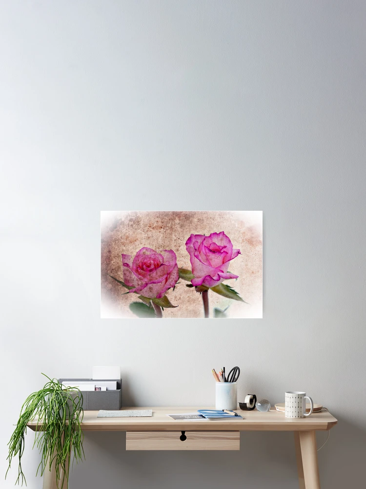 Thumbnail 2 of 3, Poster, Pink Roses designed and sold by Ian Jeffrey.