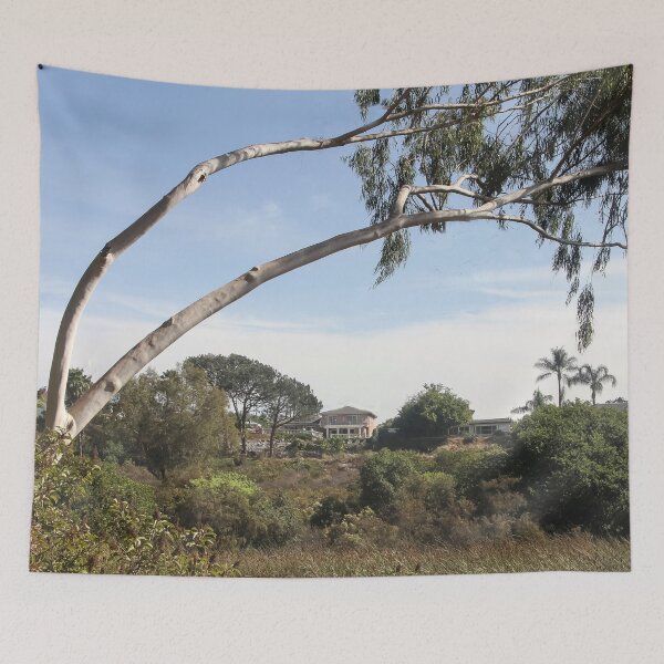 Item preview, View at Lake Murray, San Diego California  designed and sold by heatherfriedman.