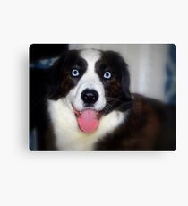 Cam the Sham Canvas Print