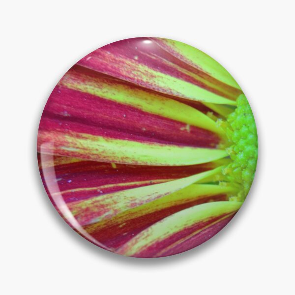 Artikelvorschau, Chrysanthe Mums entworfen und verkauft von LisaWootenPhoto.
