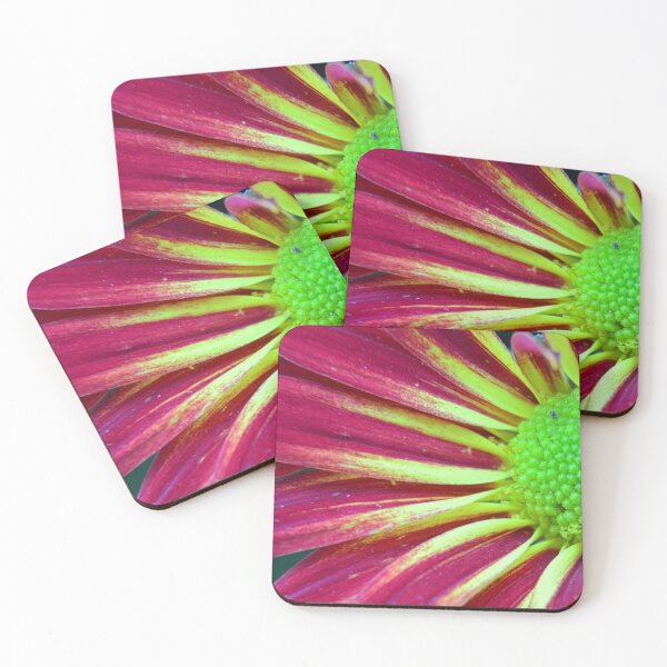 Item preview, Chrysanthe Mums designed and sold by LisaWootenPhoto.