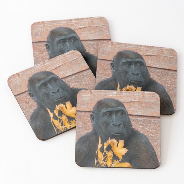 Item preview, Gorilla Shufai With With Autumn Leaves designed and sold by rawshutterbug.