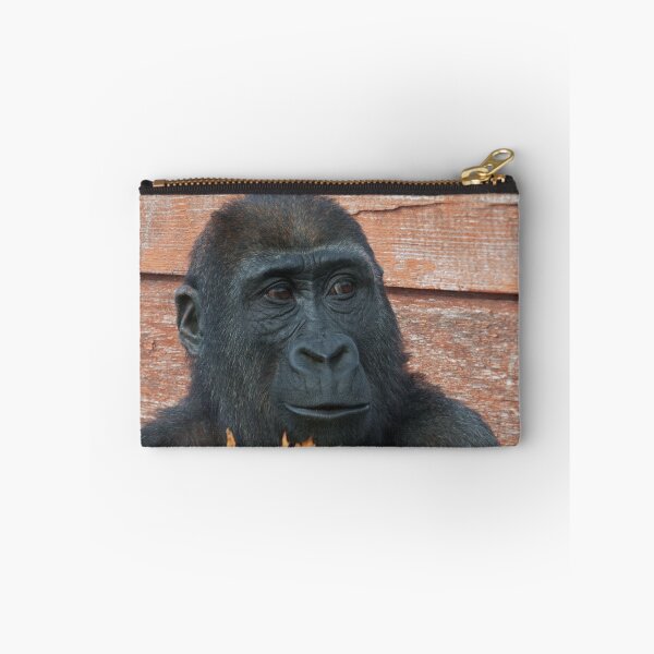 Item preview, Gorilla Shufai With With Autumn Leaves designed and sold by rawshutterbug.