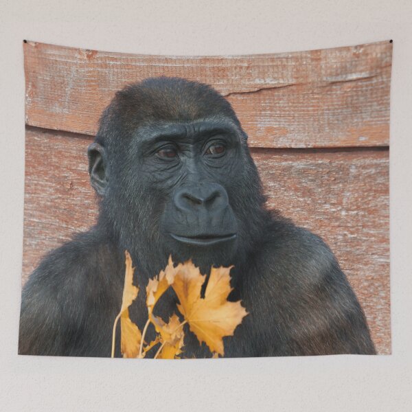 Item preview, Gorilla Shufai With With Autumn Leaves designed and sold by rawshutterbug.