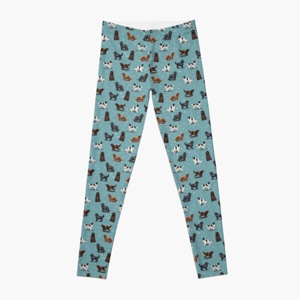 Dog Leggings for Sale