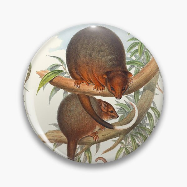 Item preview, Animals Of Australia The Possums designed and sold by JoolyA.