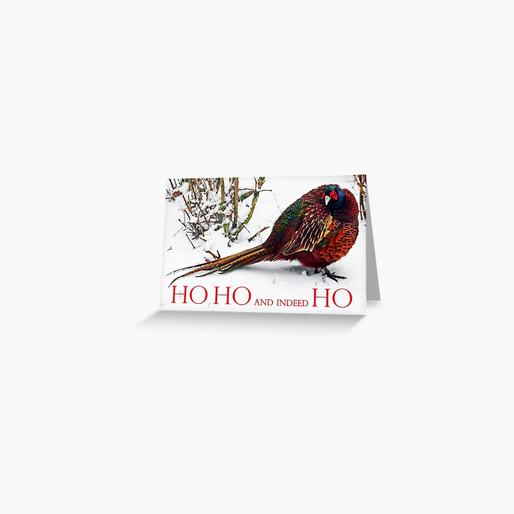 Item preview, Greeting Card designed and sold by Coigach.