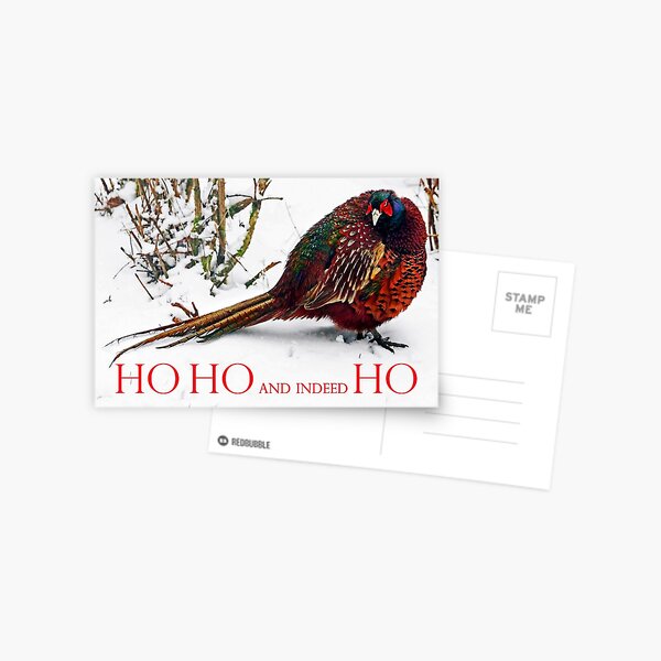HO HO HO? Christmas 2021 - Grumpy Pheasant Postcard